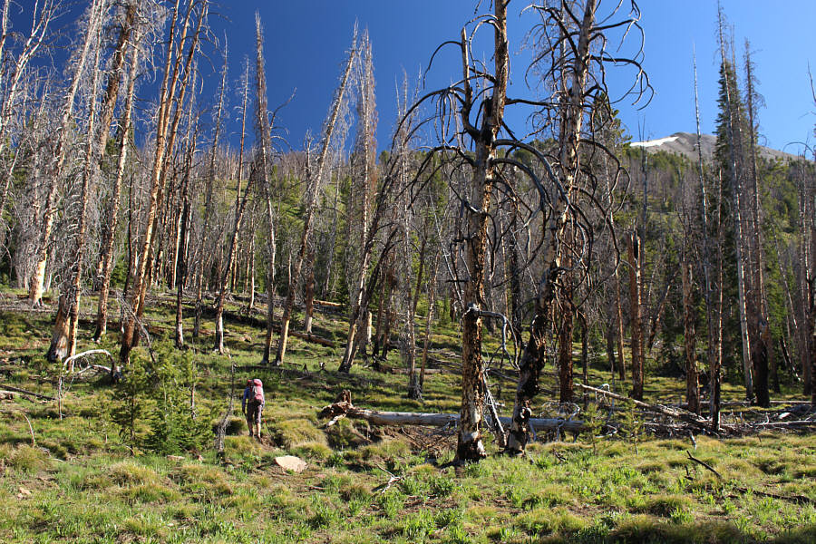 There are a few marshy spots but no serious obstacles.