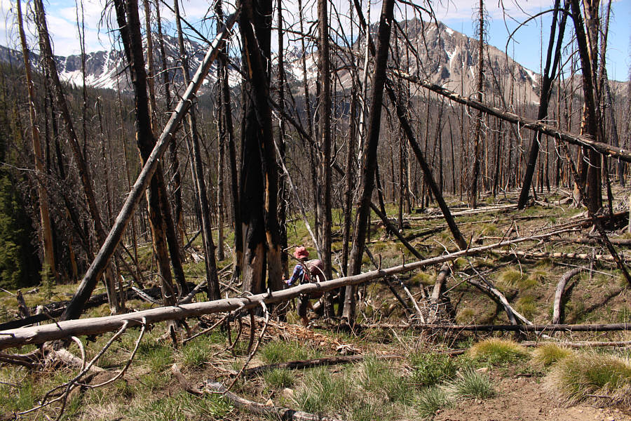 Nothing too tough here!