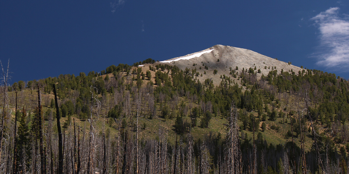 I'll be back again someday...