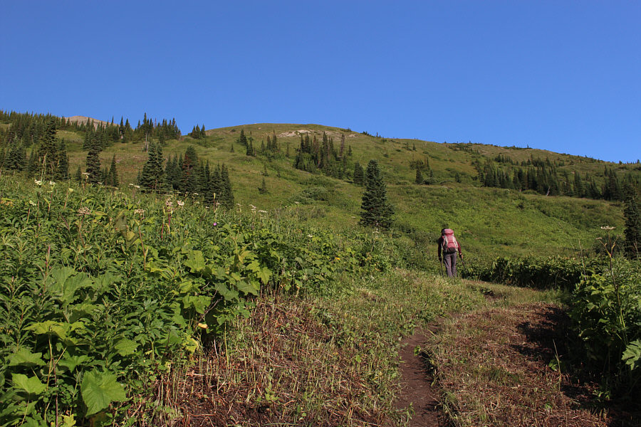 Actually, quite a few trails in Glacier National Park could use some weed-whacking!