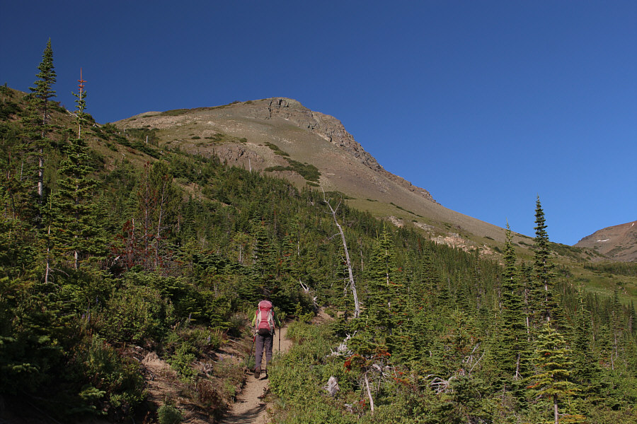 We could probably go off-trail here and take a short cut to the summit, but why spoil such a nice hike?