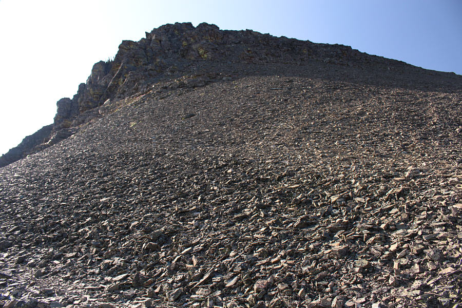 Not the cake walk I was expecting!