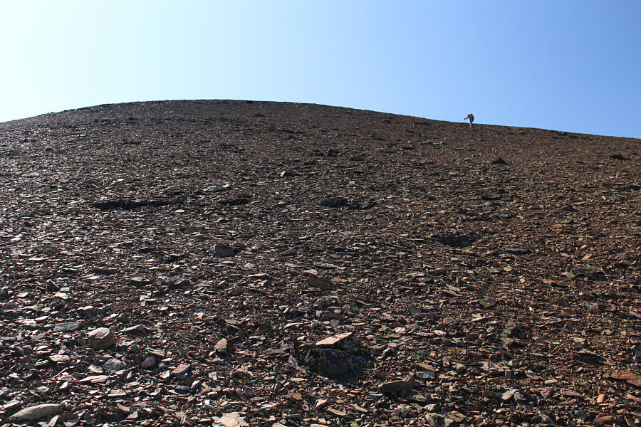 Great for surfing on the way down!