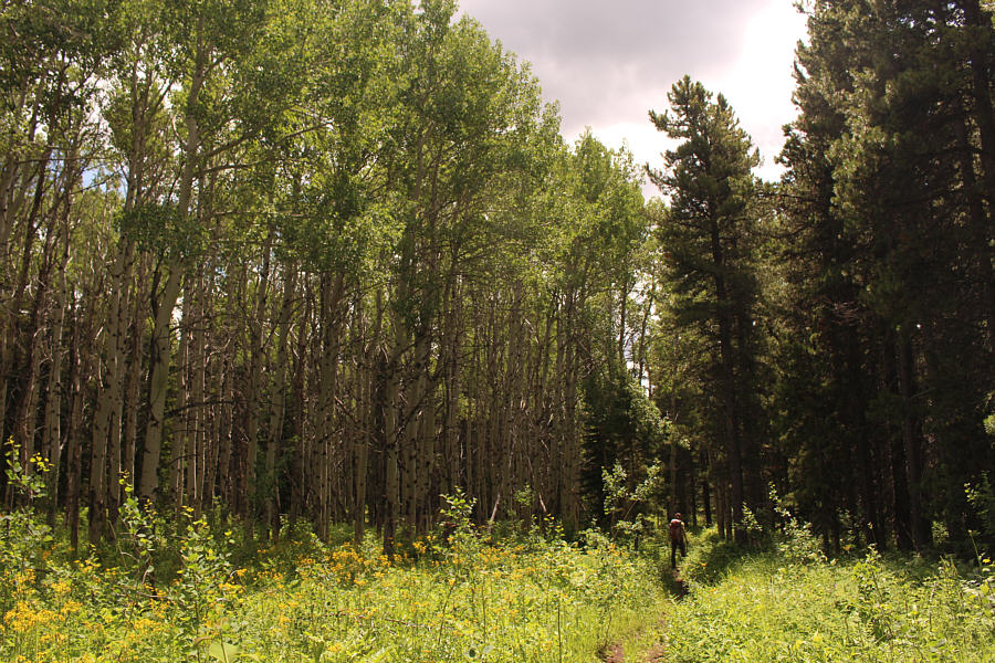 No regrets about taking the long way home!