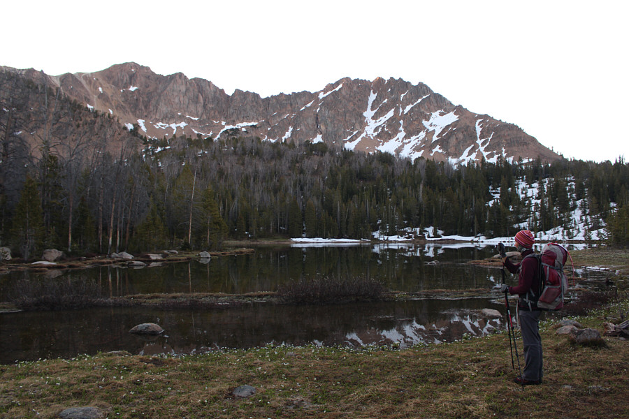 We're a few days early...