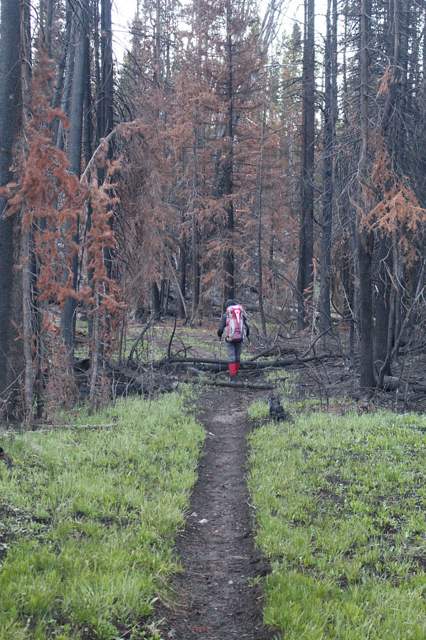 Hopefully, this will be a smoke-free summer!