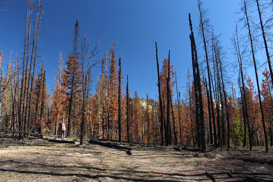 Things are looking rather grim...