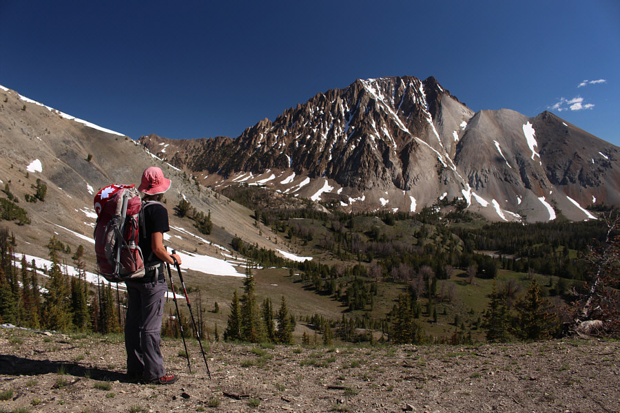 There's a herd of wapiti somewhere in the meadow below us.