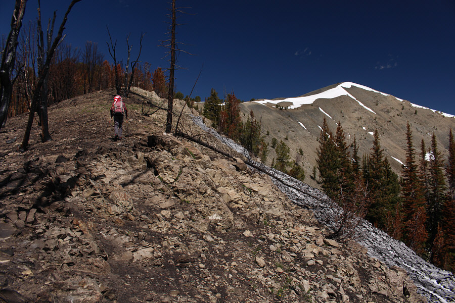 Switching to Plan B...