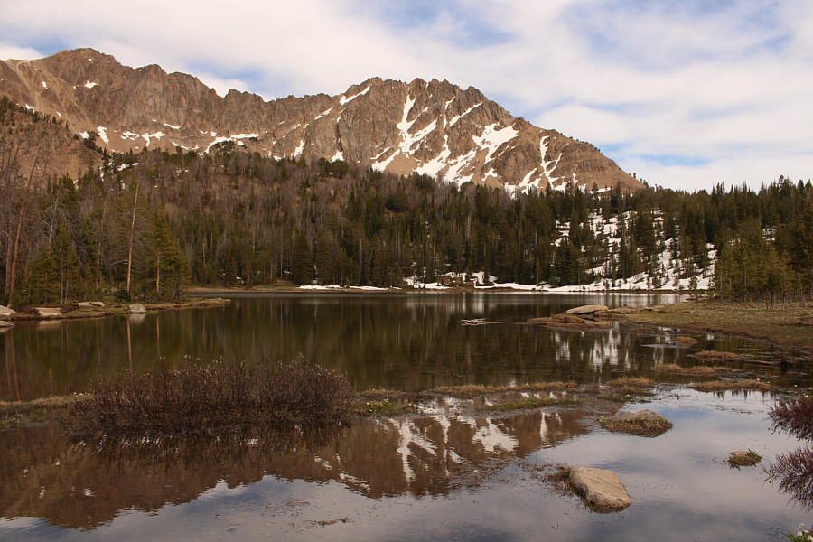 Watch out for ticks around here!