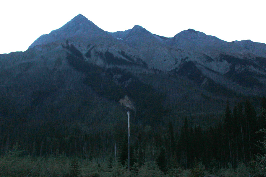 There's a lot of nasty deadfall hidden among the trees lower down.