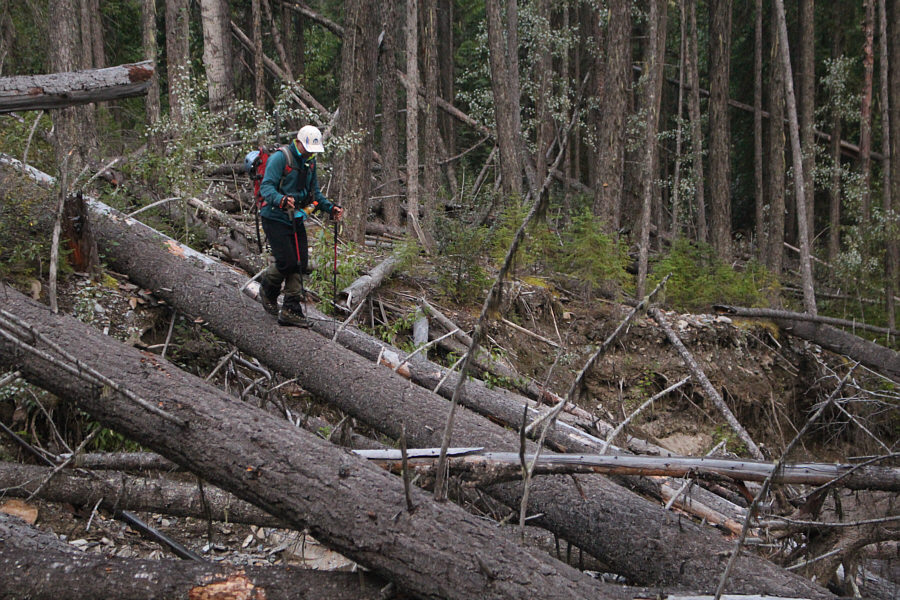 Foreshadowing a long night of bushwhacking later on...