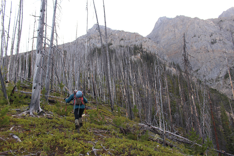 Hey, any trail is welcome on this mountain even if it's short-lived!