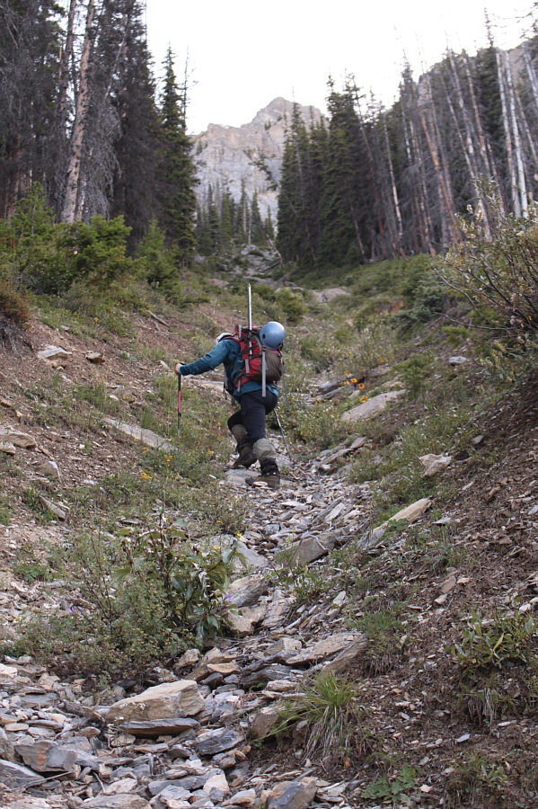 This gully seemed interminable on descent much later.