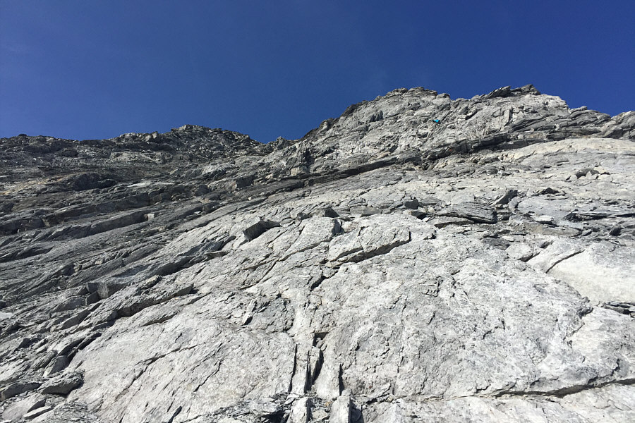 Don't go where Grant is!