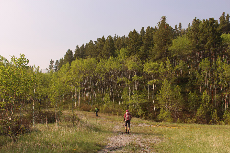 This should be a piece of cake...