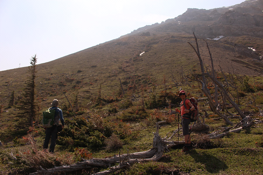 This is gonna be a grind...