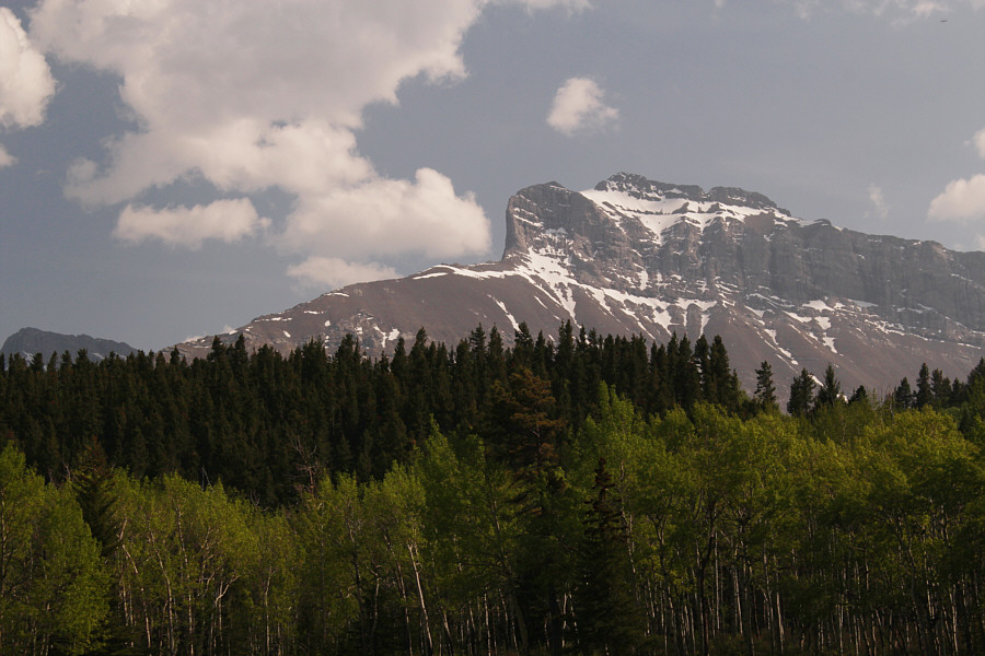 We even made it back in time to use the visitor centre's washrooms just before closing time!