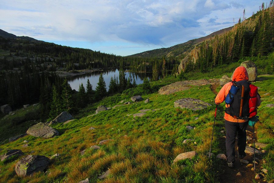 Arrrghhh! The mosquitoes are simply relentless!!