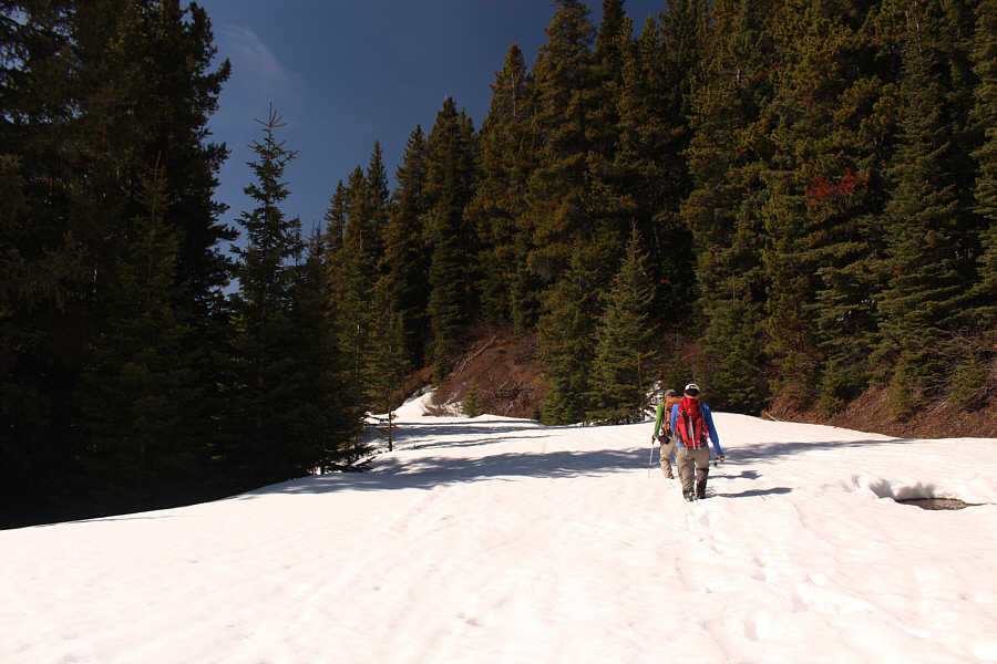 An early taste of things to come...