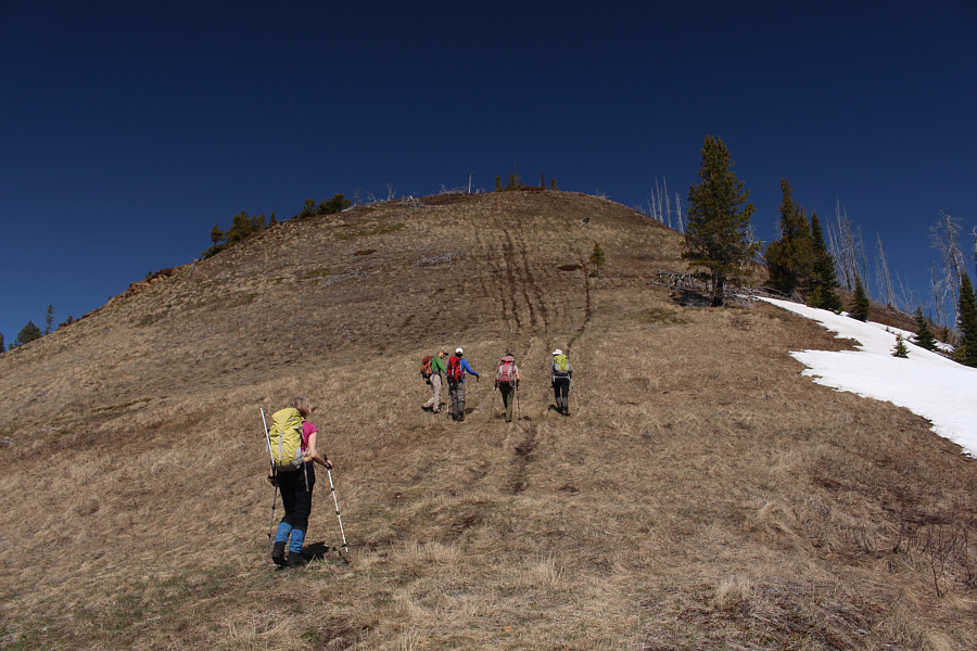 Not sure if those tracks are from OHVs or snowmobiles.