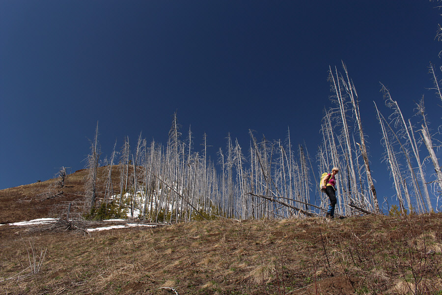 This is where the trip starts getting gnarly!
