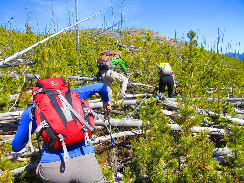 Maybe we should have taken the logging road...
