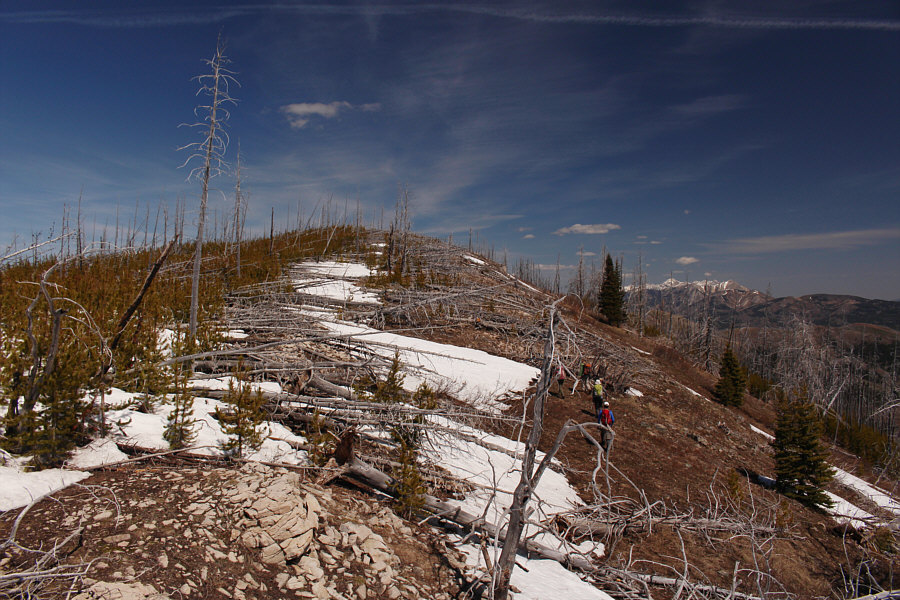 A few trees on the right apparently survived the forest fire.