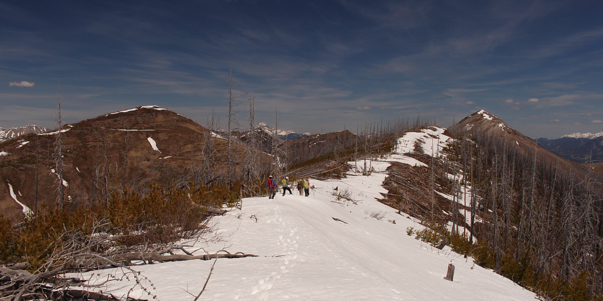 We could have skied this!