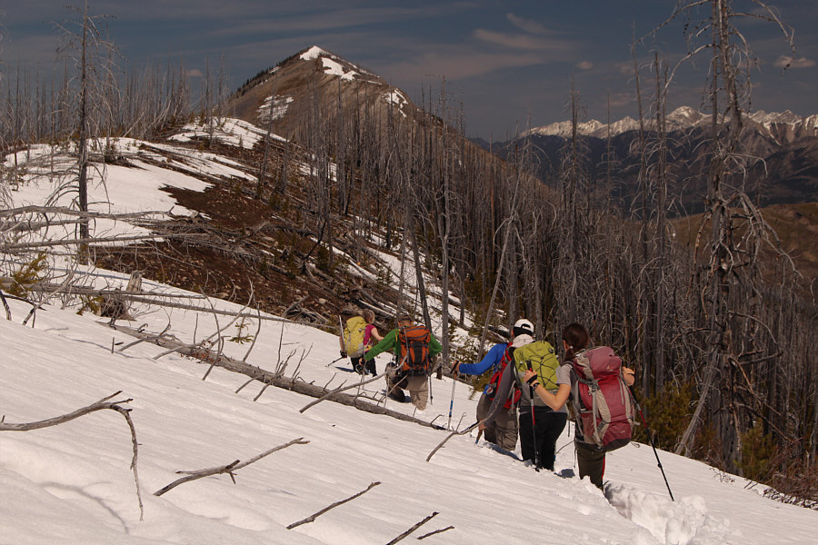 Thank you everyone for breaking trail ahead of me!