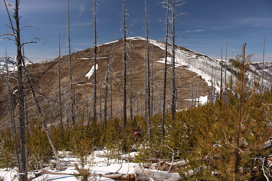 Expect some moderate bushwhacking here.