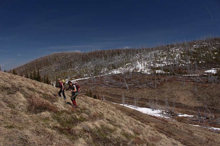 Can you spot the moon?