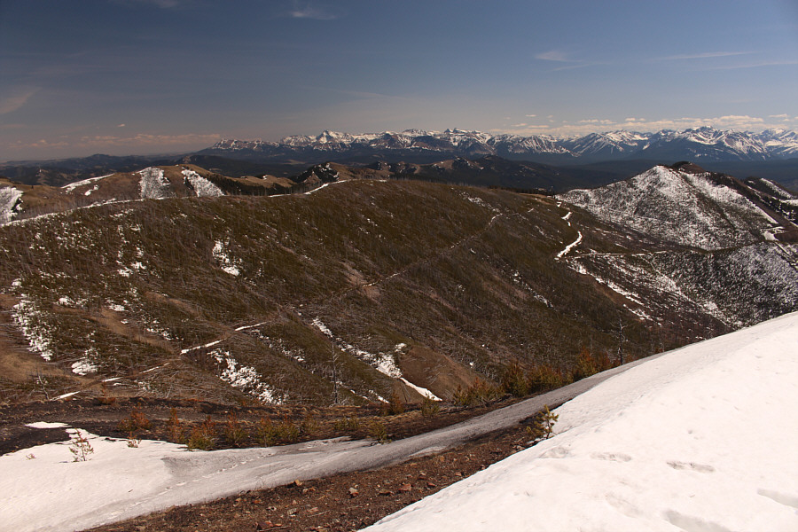 Matt Clay's trip report suggests that the logging road may not have been any easier to hike.