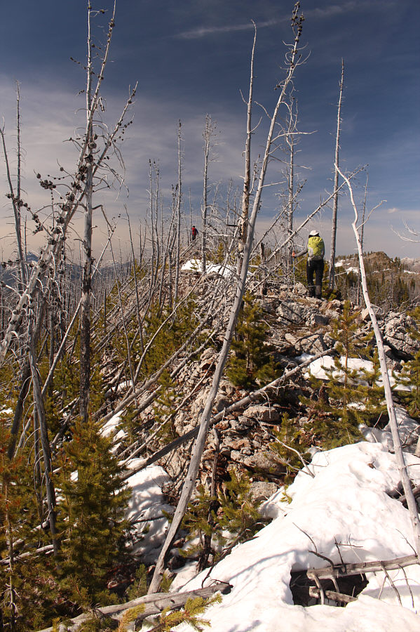 Okay, the next person that comes up here needs to bring a fricking chain saw!