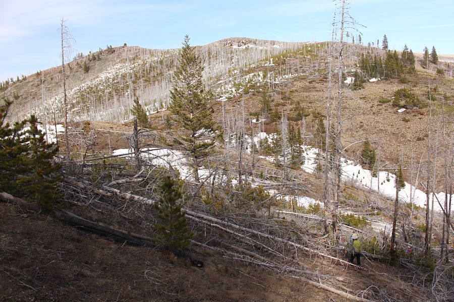 Just when I was starting to get used to all the bush bashing...