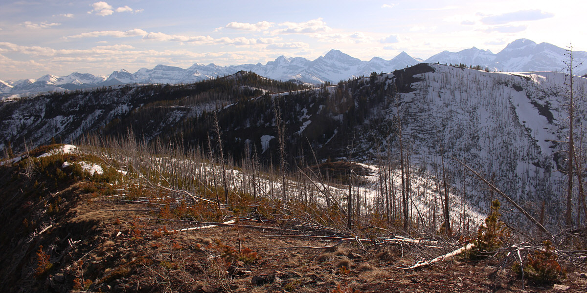 Maybe call them Pocket Rockets (double Aces)??