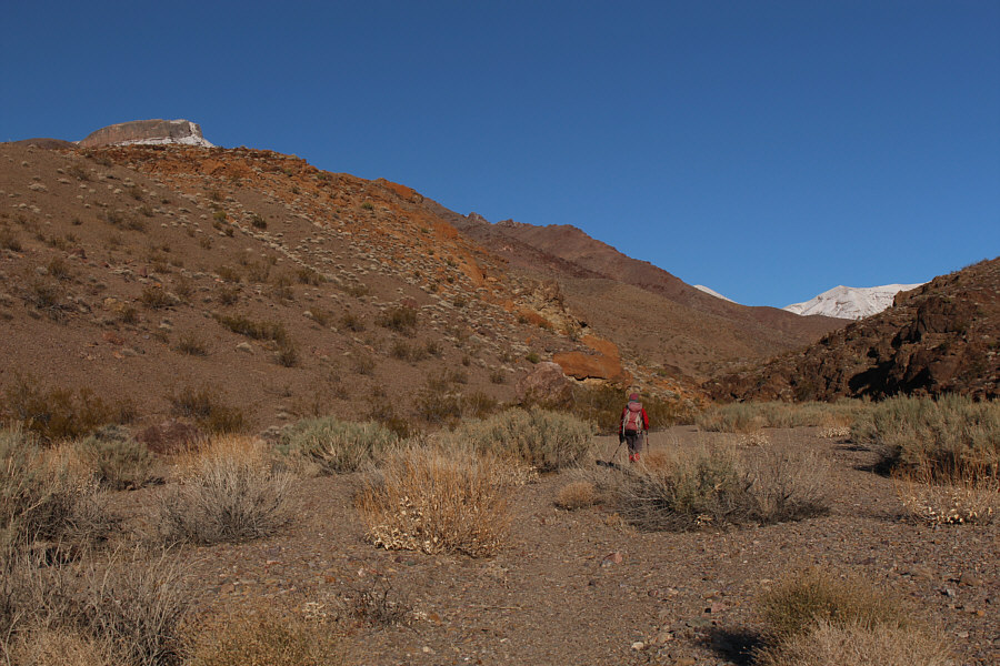 Trust me. Don't climb just yet!