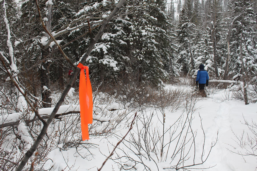 Don't be a flagging snob--leave them be!