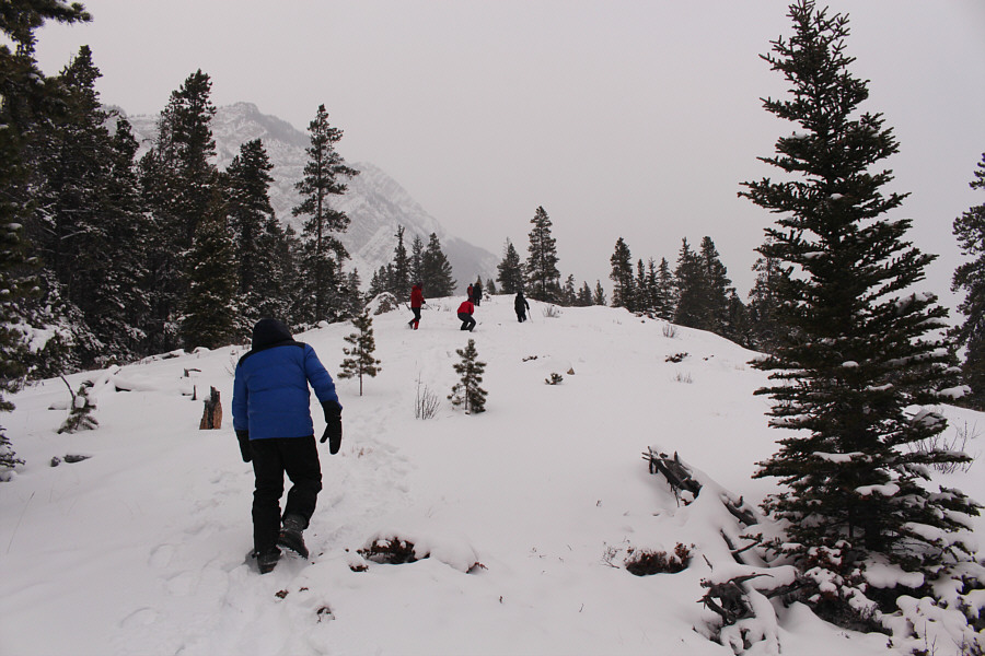 Good place to hike with kids and grannies!