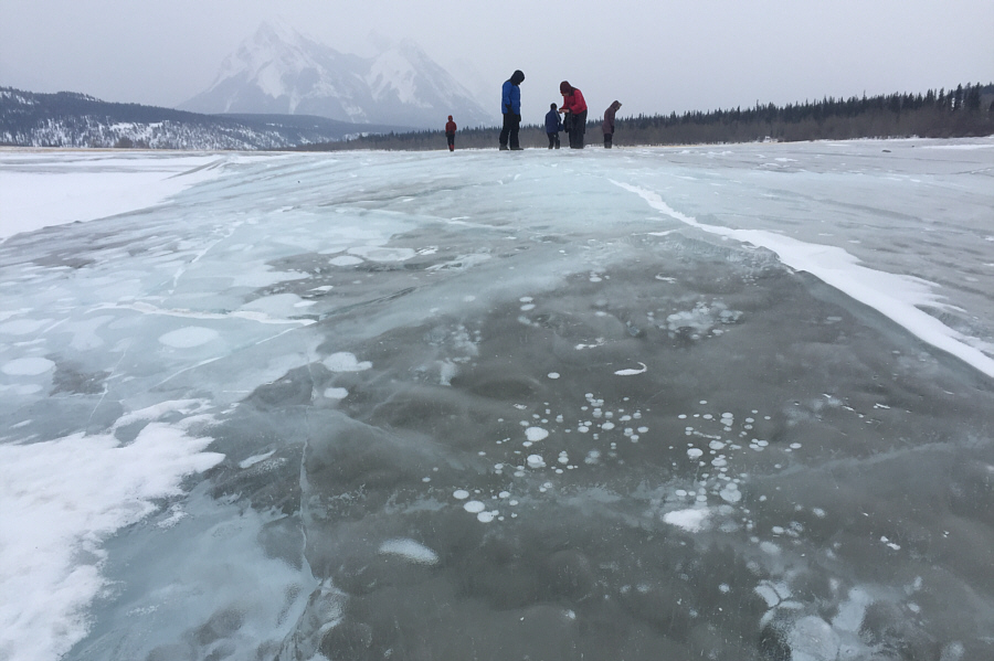 Tiny bubbles...make me warm all over...with the feeling that I'm gonna love you 'til the end of time!