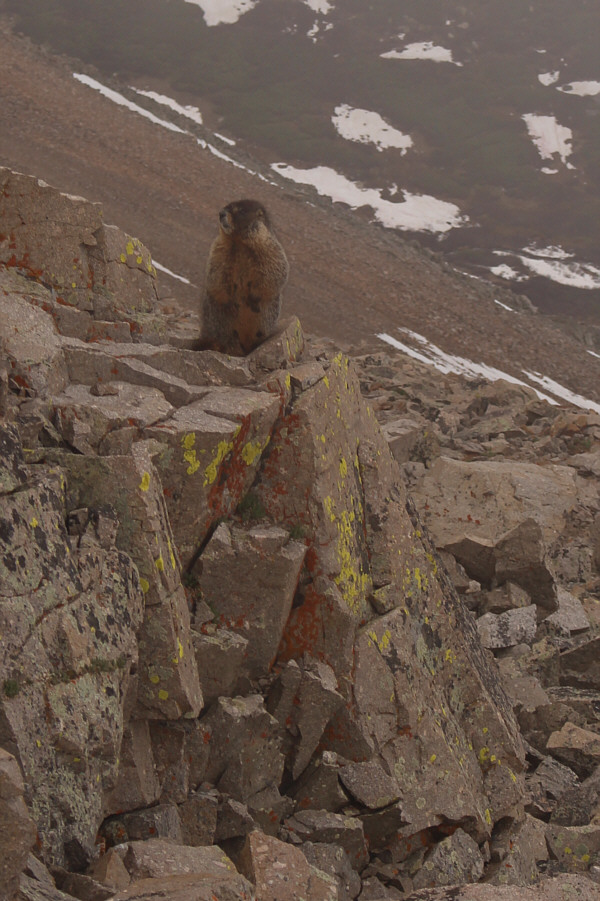 It's saying, "GTFO"!