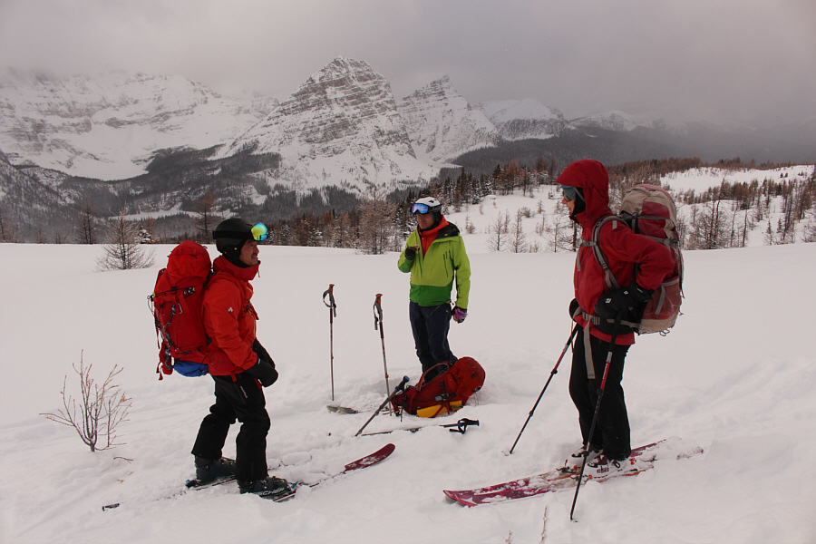 Shoji: Zosia, should I eat the cuttlefish & asparagus or the vanilla paste?