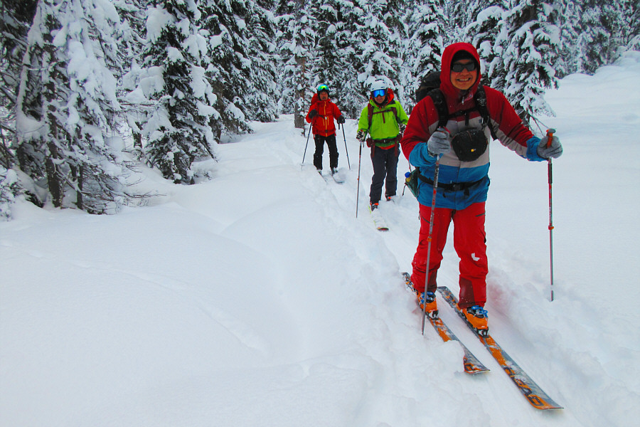 Easier than trying to plow through the deep powder when the slope is this gentle.