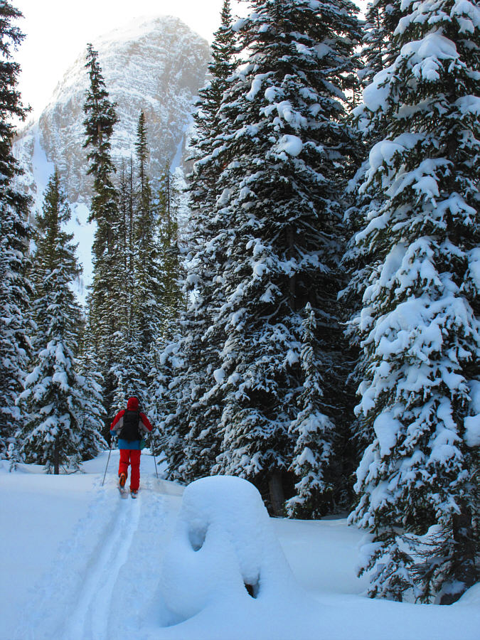 I was too lazy to remove the sleeping bag after packing it in the morning, but wearing my pack was the only way for me to carry my camera!