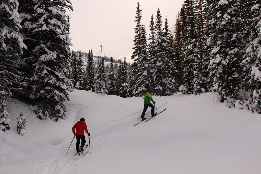 We didn't bother removing our skins to descend this later.