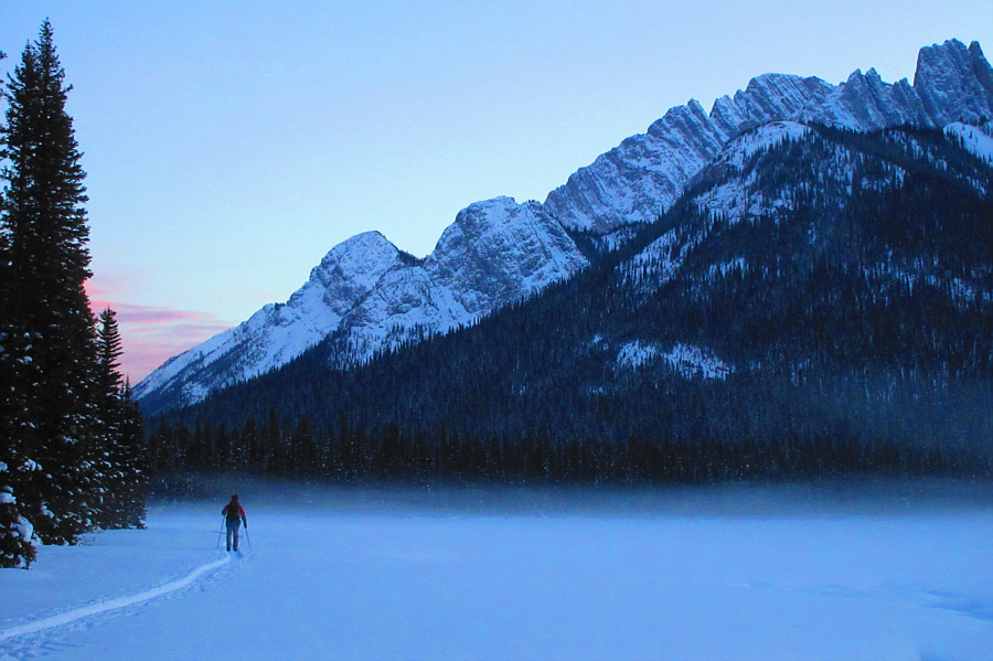 Beware of the fog...