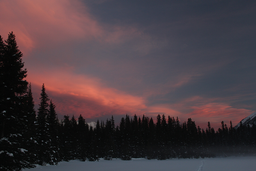 Okay, we still have to ski about a kilometre through the trees in the dark to get back to the cabin...
