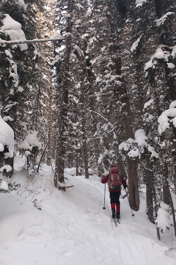 So thankful to have climbing skins for my light touring gear!