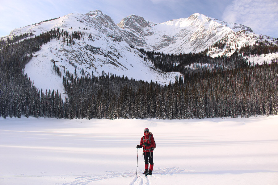 Years ago, I had a close encounter with a grizzly sow and two cubs here!