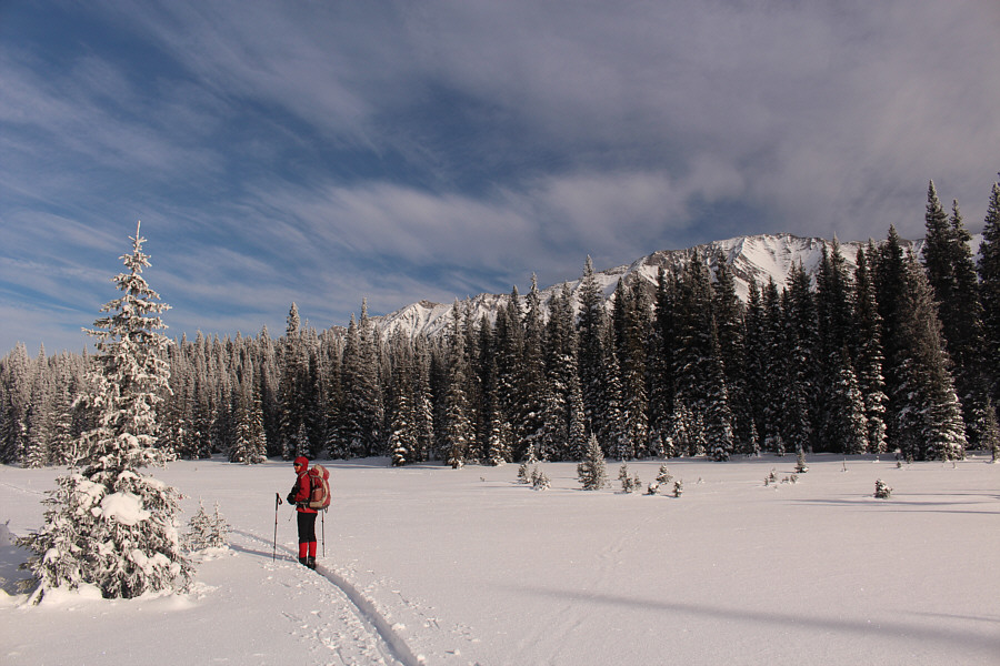 Welcome back to Alberta...well, almost!